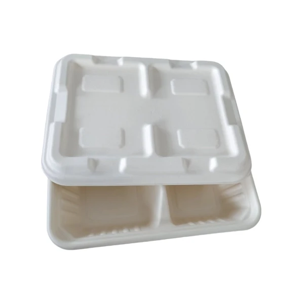 Two Compartment Bagasse Take Away Container