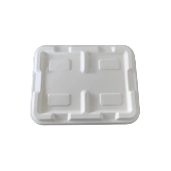 Two Compartment Bagasse Take Away Container
