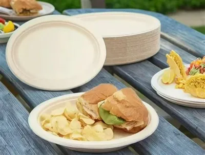 7インチサトウキビバガスプレート